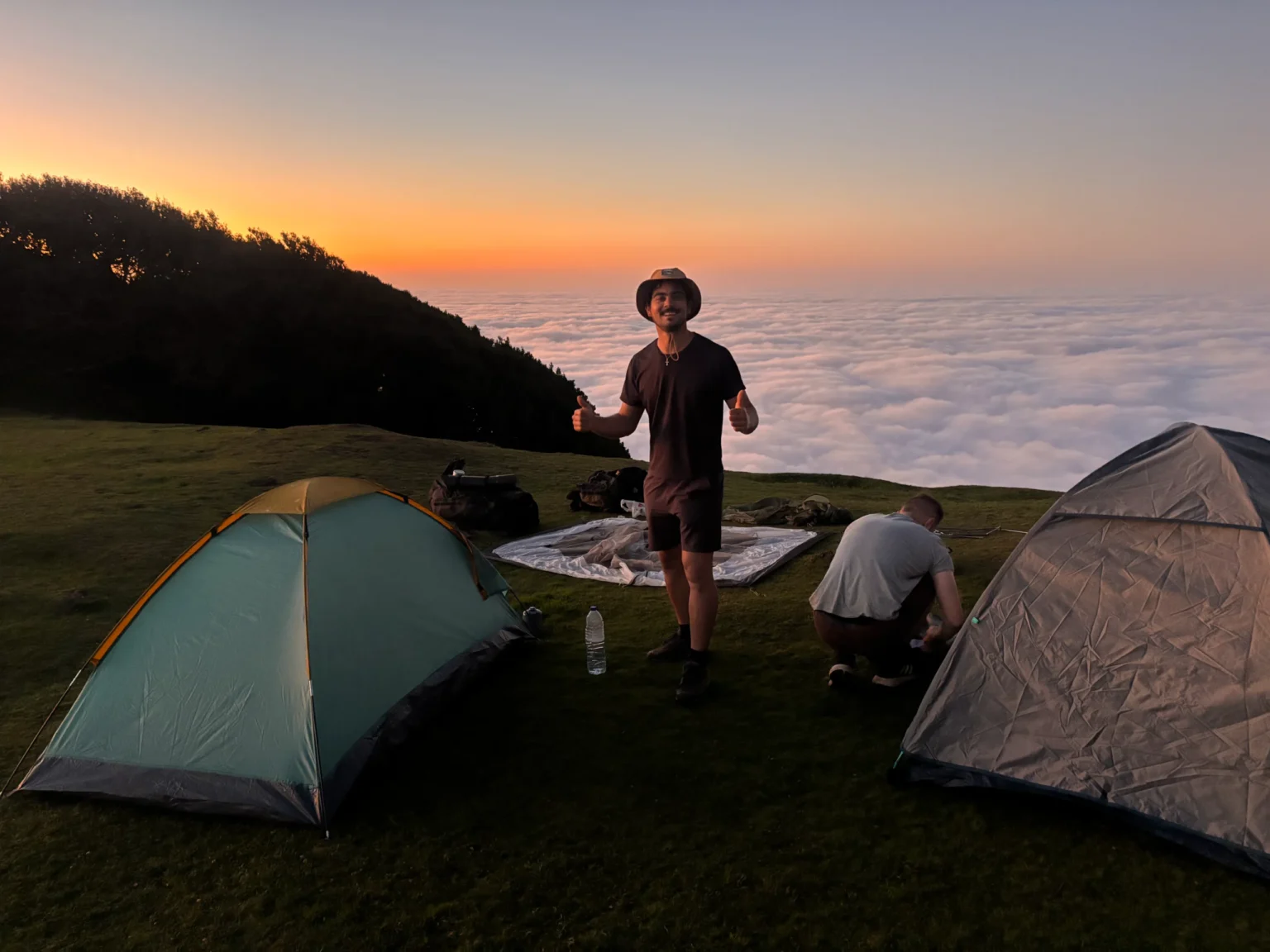 Fanal-Forest-Madeira